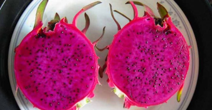 4 manfaat buah naga yang sangat baik untuk kesehatan tubuh