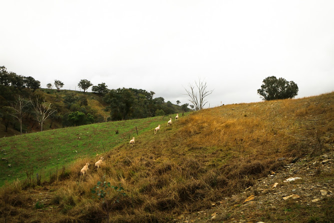 Turon River Campsite Camping Ground Australia