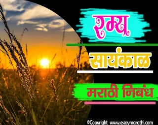 ramya-saynkal-essay-marathi