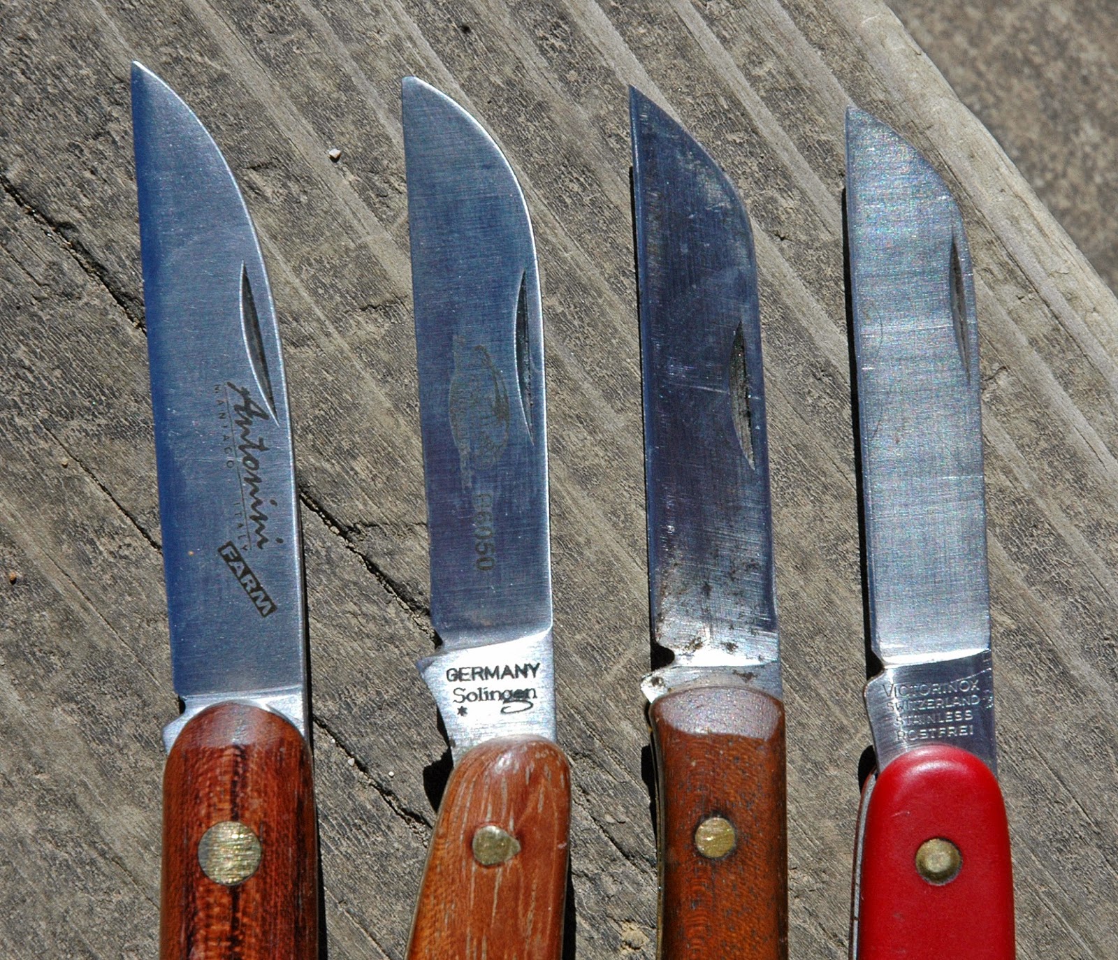Northern Pecans Choosing a grafting knife