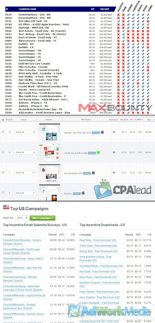 Above screen shot includes Maxbounty, CPALead and AdWorkMedia