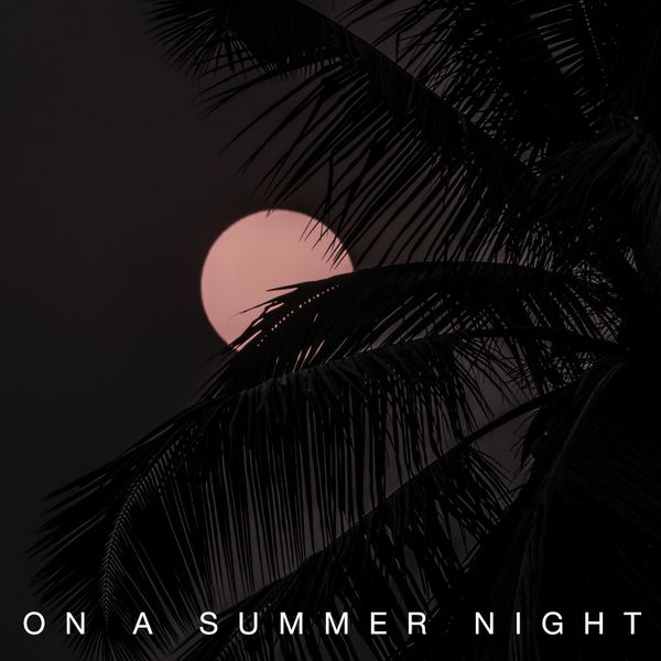 YOUR PLAYLIST – On a summer night (WITH WIZNIGHT) – Single