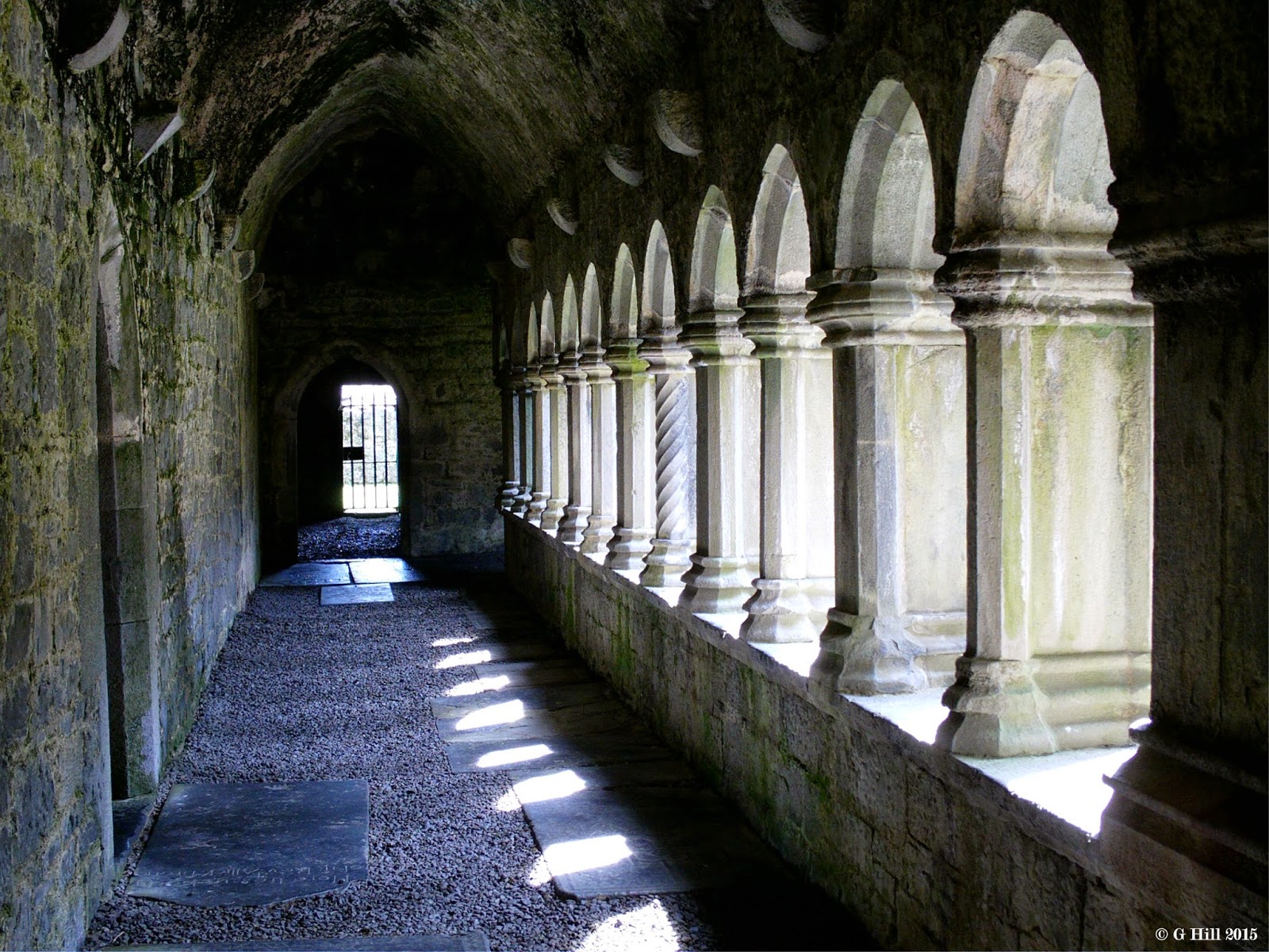 Ireland In Ruins: Quin Abbey Co Clare