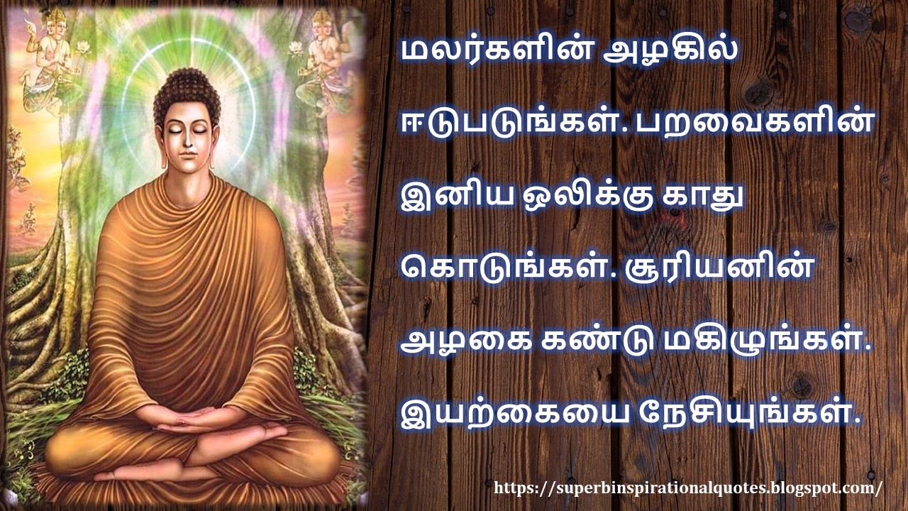புத்தர் சிந்தனை வரிகள் 06 Buddha inspirational quotes in Tamil 06