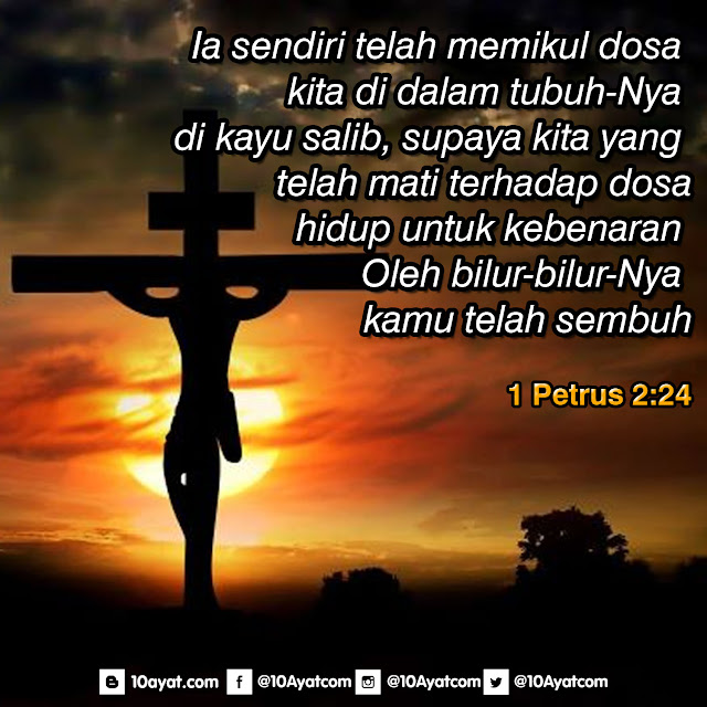 1%2BPetrus%2B2 24