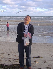 Pantai Altona,  2007