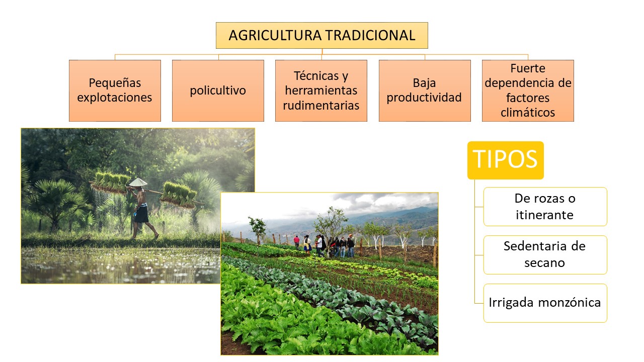 Un poco de Historia para clase AGRICULTURA TRADICIONAL (3º ESO GEOGRAFÍA)