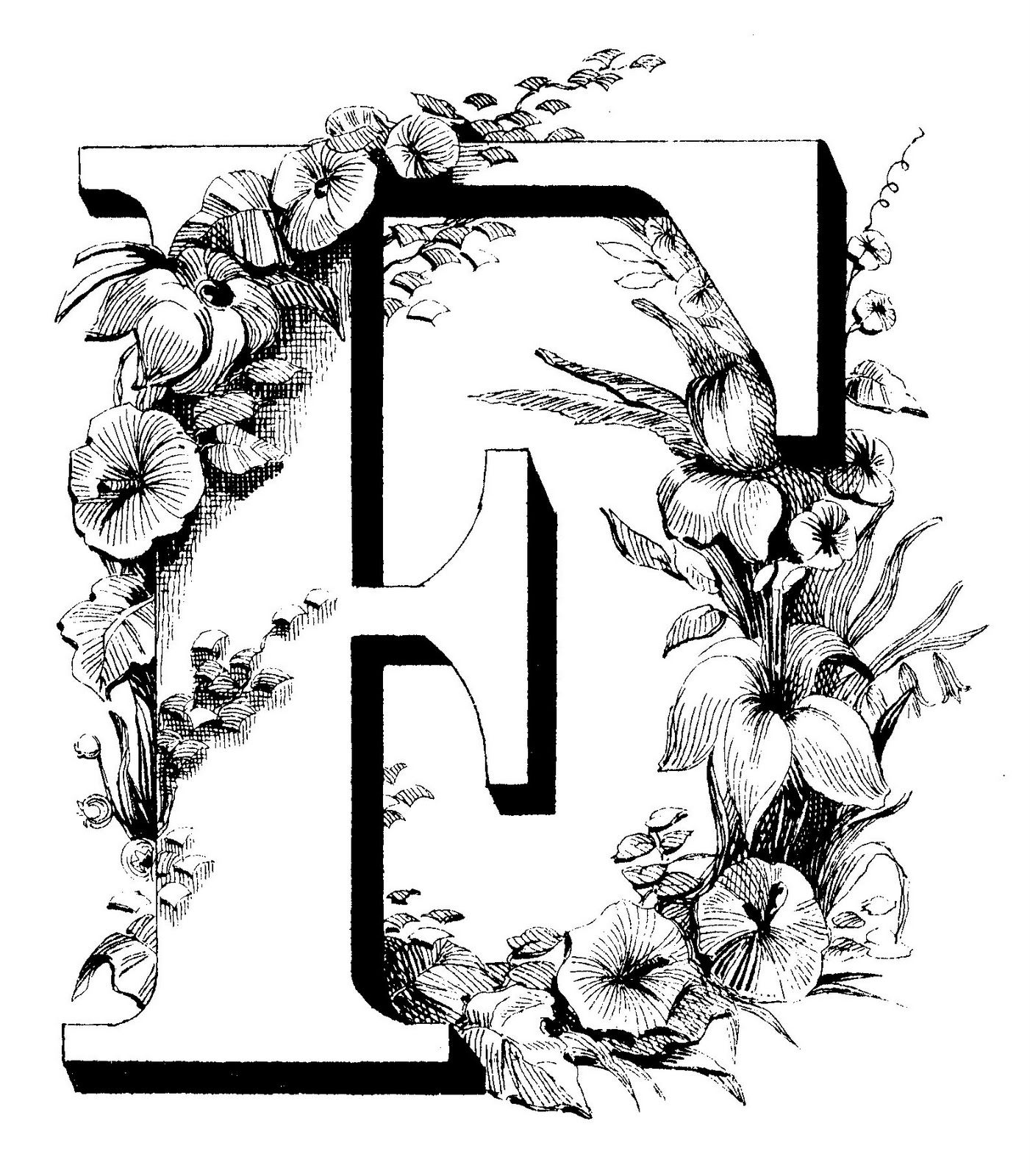 Fancy Letter F Font Birthday Letter