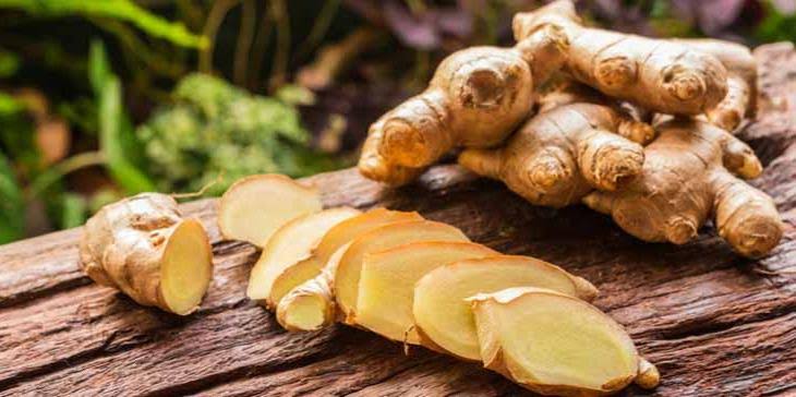 Beberapa Tanaman Herbal Lancarkan Peredaran Darah Gesahkita Com