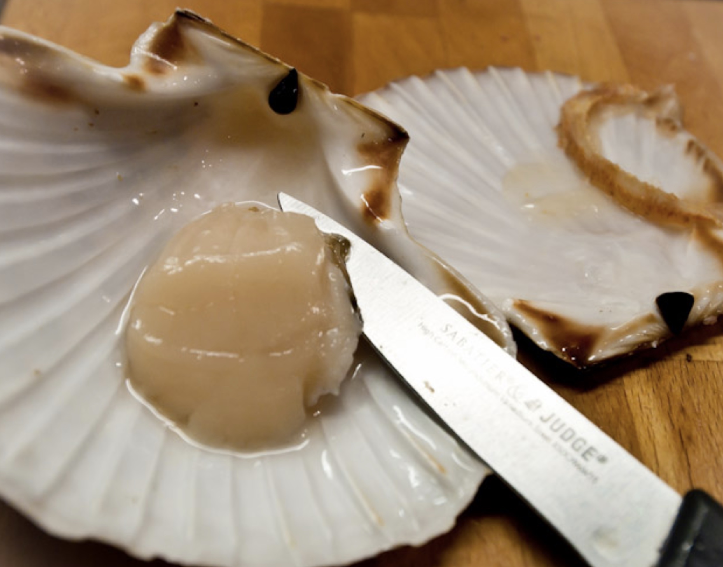 Through the Gaps! - Newlyn Fishing News: There's cloud over those ...