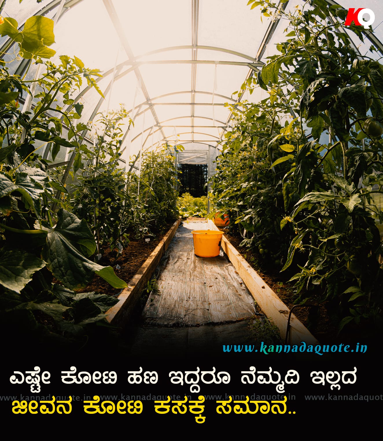 Money is not important quotes in kannada Money is not important quotes in kannada