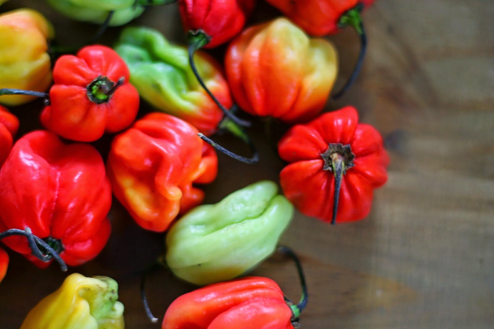 The World s 5 Hottest Chillies AMAZEF The World s 5 Hottest Chillies AMAZEF