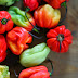 The world's 5 hottest chillies