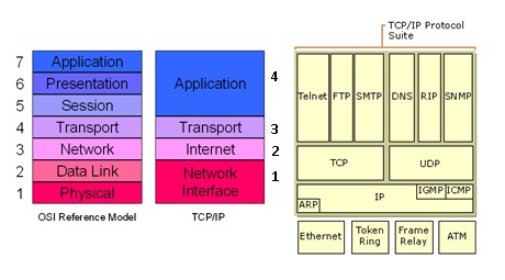 B.C.A. Study materials: TCP/IP Protocol suit