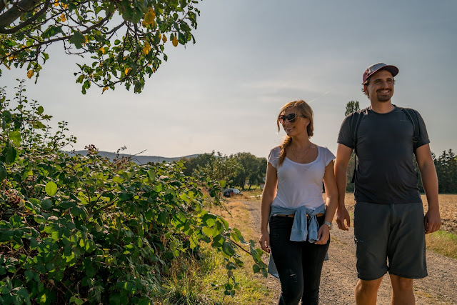 Ringwanderweg Bad Harzburg | Ausgedehnte Wanderung um die schöne Stadt im Harz 07