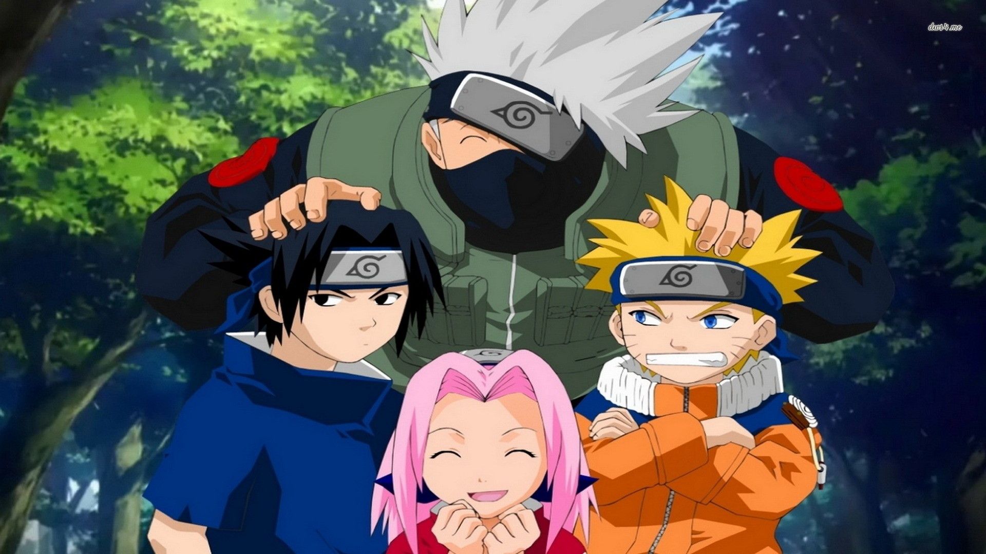 Team 7 Kakashi Hatake Wallpaper.