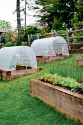 hoop tunnels mini garden round veggie gardener jabbour niki weather tunnel raised vegetable beds bed gardening greenhouse cold gardens growing