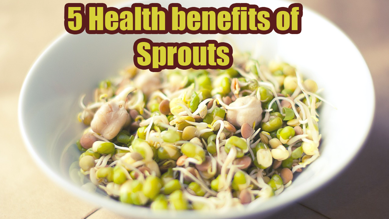 6 Amazing health benefits of Sprouts Sprouts Health benefits GL's Tips