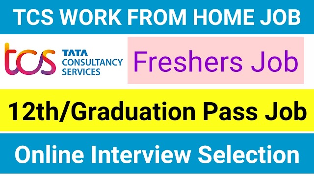 TCS WORK FROM HOME JOB 2021  | Private job vacancy