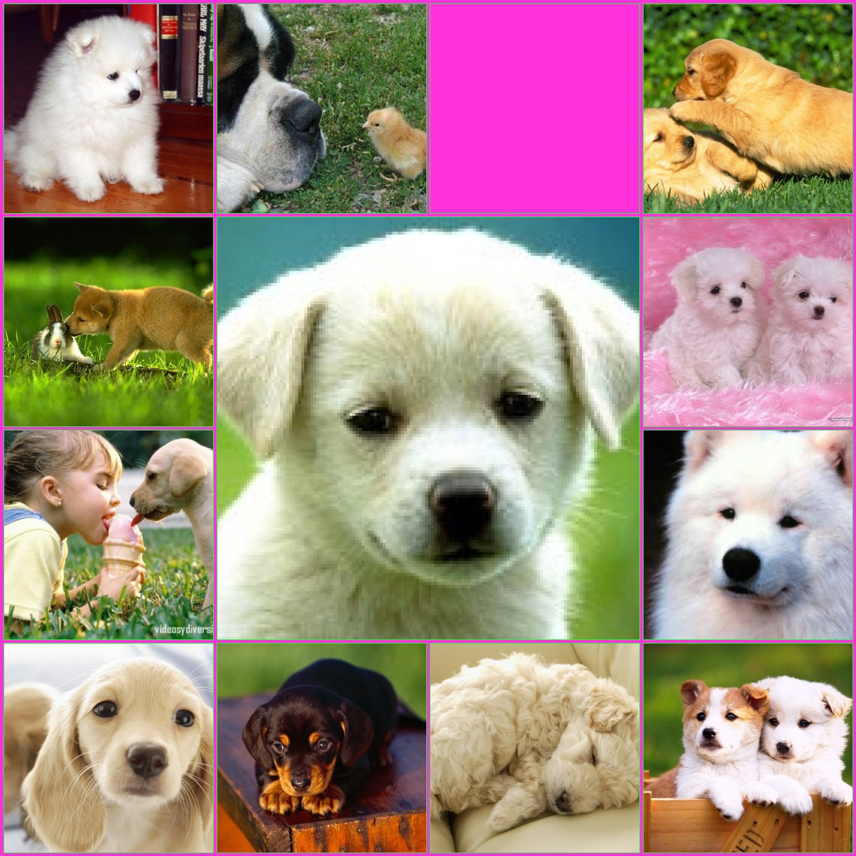 los perritos ) IMÁGENES DE PERRITOS