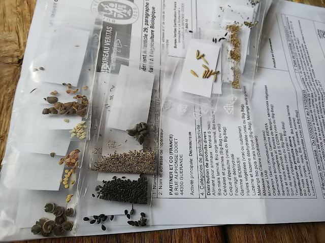 Seed from France. フランスから種が届いた。