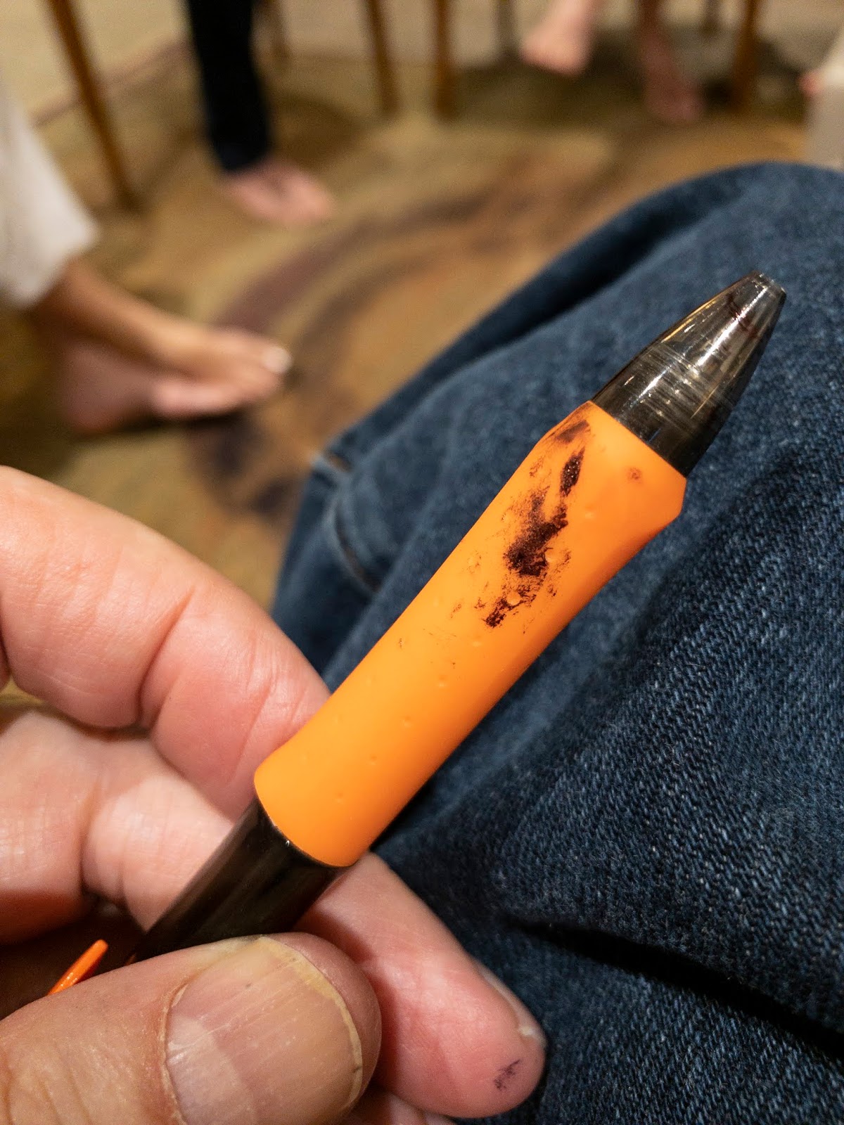 Diaristic Notations The Case of the Leaking Pen