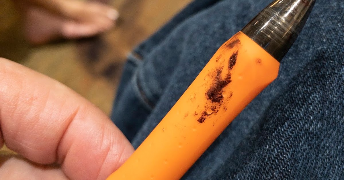 Diaristic Notations The Case of the Leaking Pen