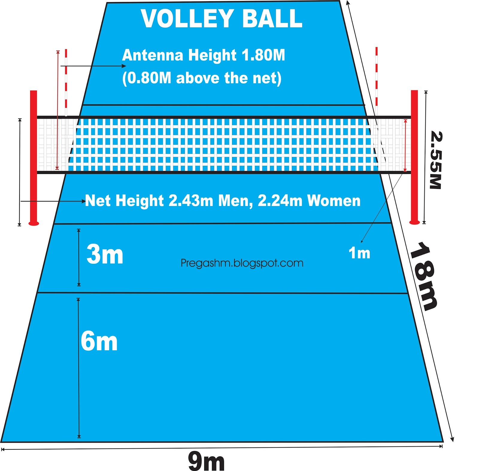 FIVB Volleyball Court Dimensions