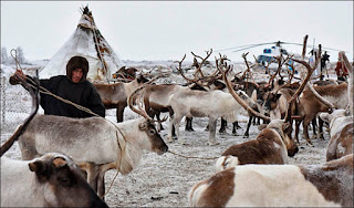 siberia7.jpg