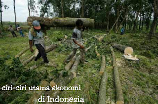 Apa saja ciri-ciri Ekonomi di Indonesia ?