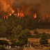  Δασικές πυρκαγιές στο ελληνικό μεσογειακό τοπίο: ευλογία και κατάρα!