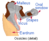 /Bet you didn’t know?