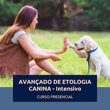 Curso Avançado de Etologia Canina - Intensivo