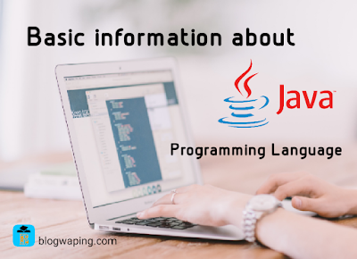 Java Language: Basics Guide For Beginners - Blogwaping