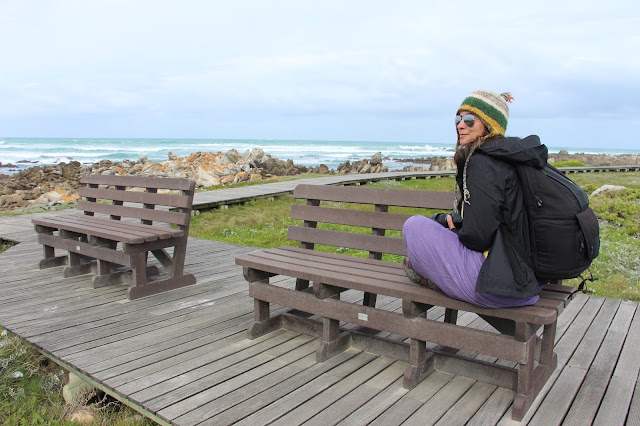 DICAS de viagem para VISITAR HERMANUS e ver baleias e mergulhar com tubarões | África do Sul