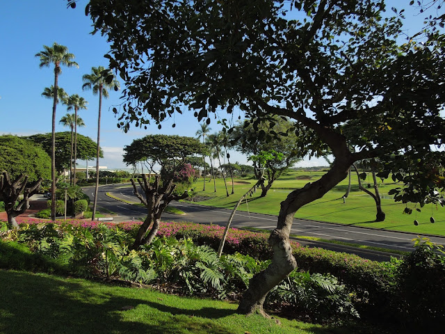 Wailea