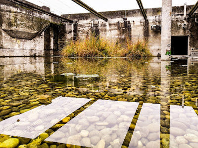 impianto fitodepurazione impianto fitodepurazione