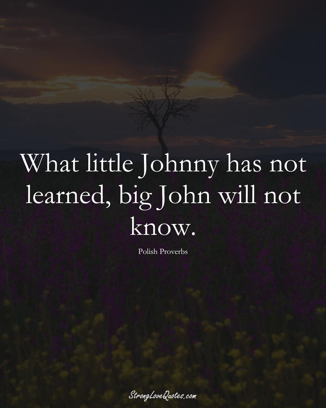 What little Johnny has not learned, big John will not know. (Polish Sayings);  #EuropeanSayings