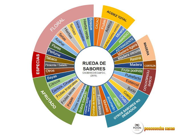 Rueda de Sabores del Licor de Cacao y Chocolate  CAOBISCO/ECA/FCC, (2015). “Cocoa Beans: Chocolate and Cocoa Industry Quality Requirements”. (End, M.J. and    Dand, R., Editors). Adapted from the Cocoa Research Centre, Sensory Training Guide, (2015).    Cocoa Research Centre, UWI.