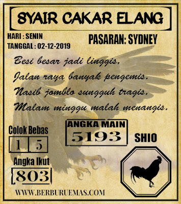 SYAIR SYDNEY 02-12-2019