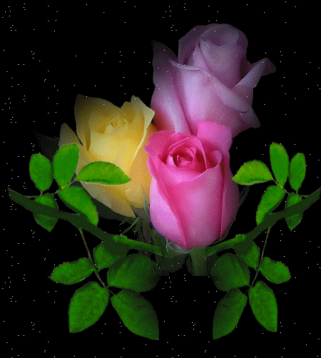 imagenes animadas muy bonitas de rosas