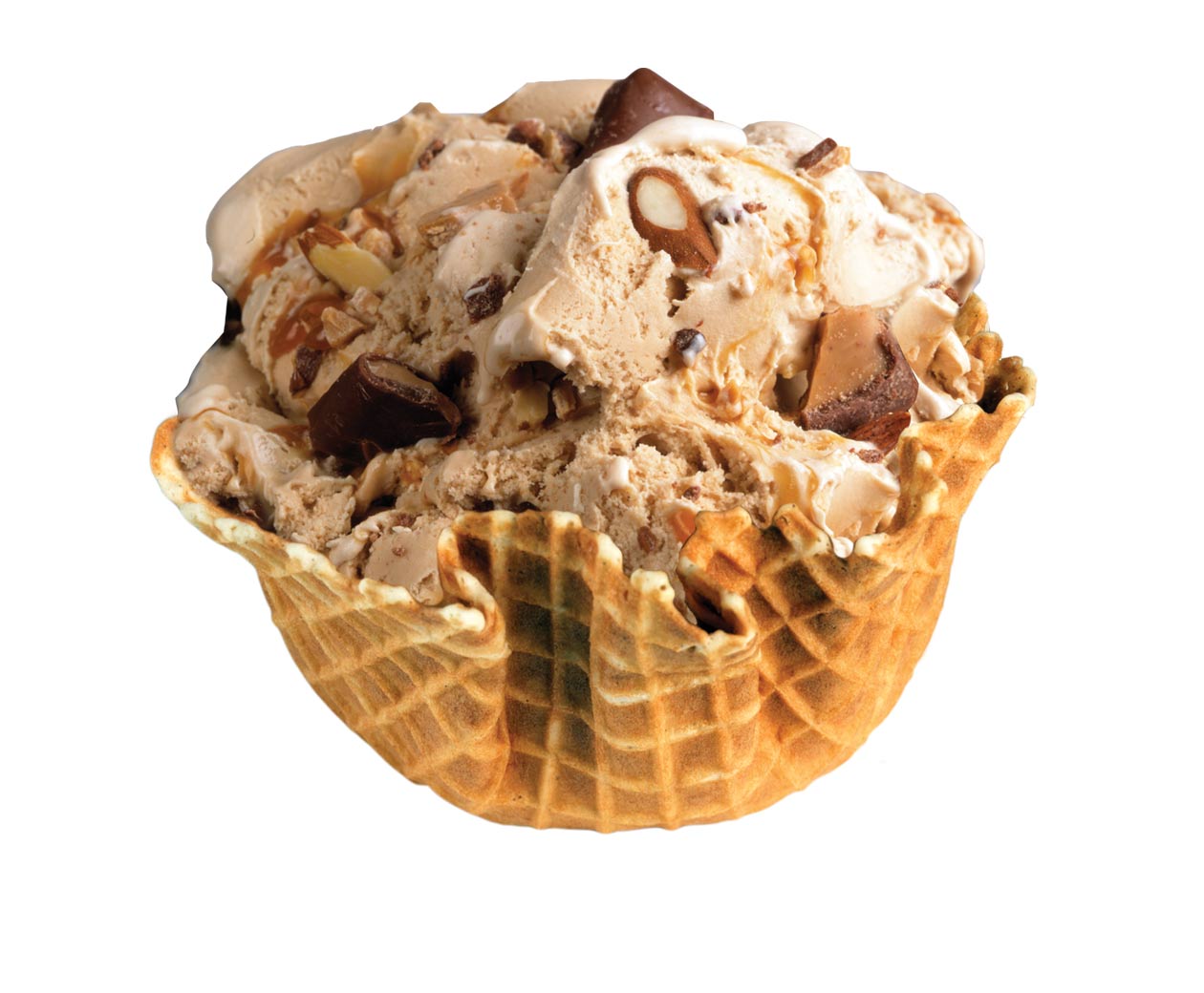 Peanut Butter Cup IceCream Recipe IceCream Worlds