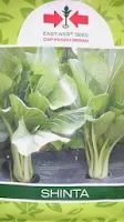 daun sawi, manfaat daun sawi, sayur sawi, menanam sawi, jual benih sawi, toko pertanian, toko online, lmga agro