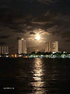 Harvest Moon
