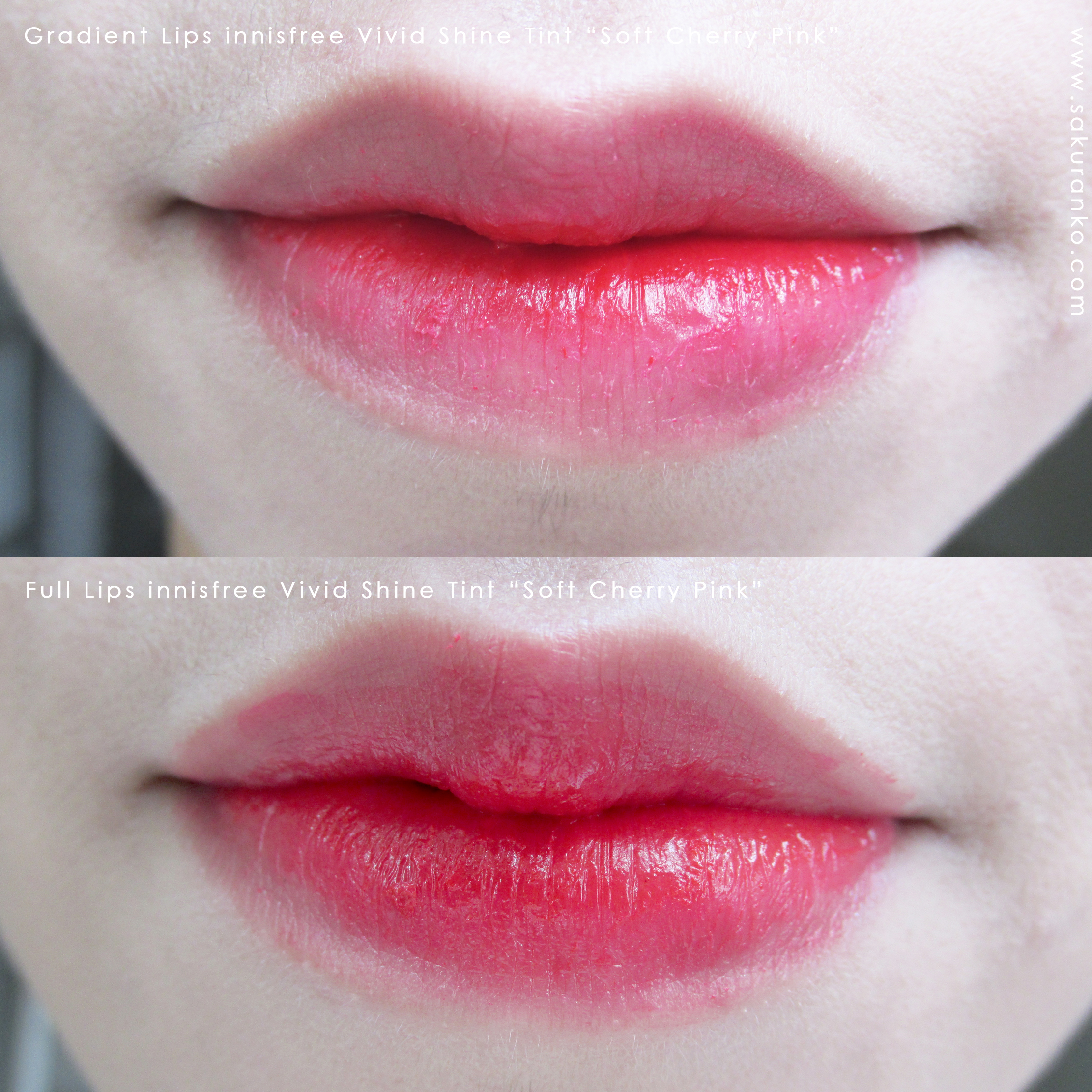 Sakuranko [JOLSE] Innisfree Vivid Shine Tint Review