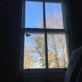 window sunny