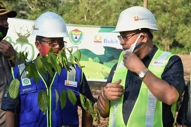 PTBA Menggelar Acara Green Mining Tanam 1.000 Pohon Memperingati Hari Lingkungan Hidup Sedunia