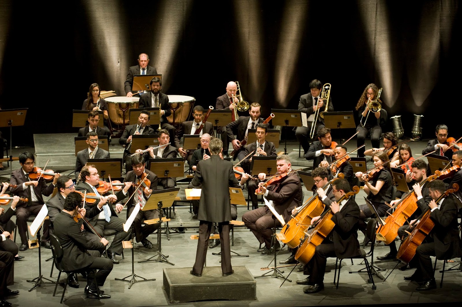 SciELO - Brasil - Avaliação fisioterapêutica nos músicos de uma orquestra  filarmônica Avaliação fisioterapêutica nos músicos de uma orquestra  filarmônica