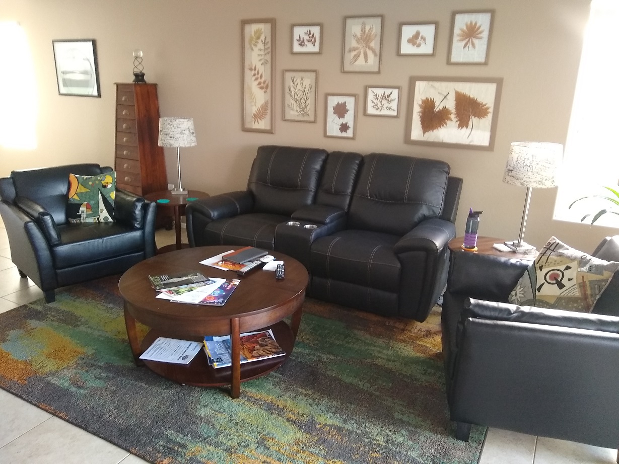 Wayne's World new furniture.