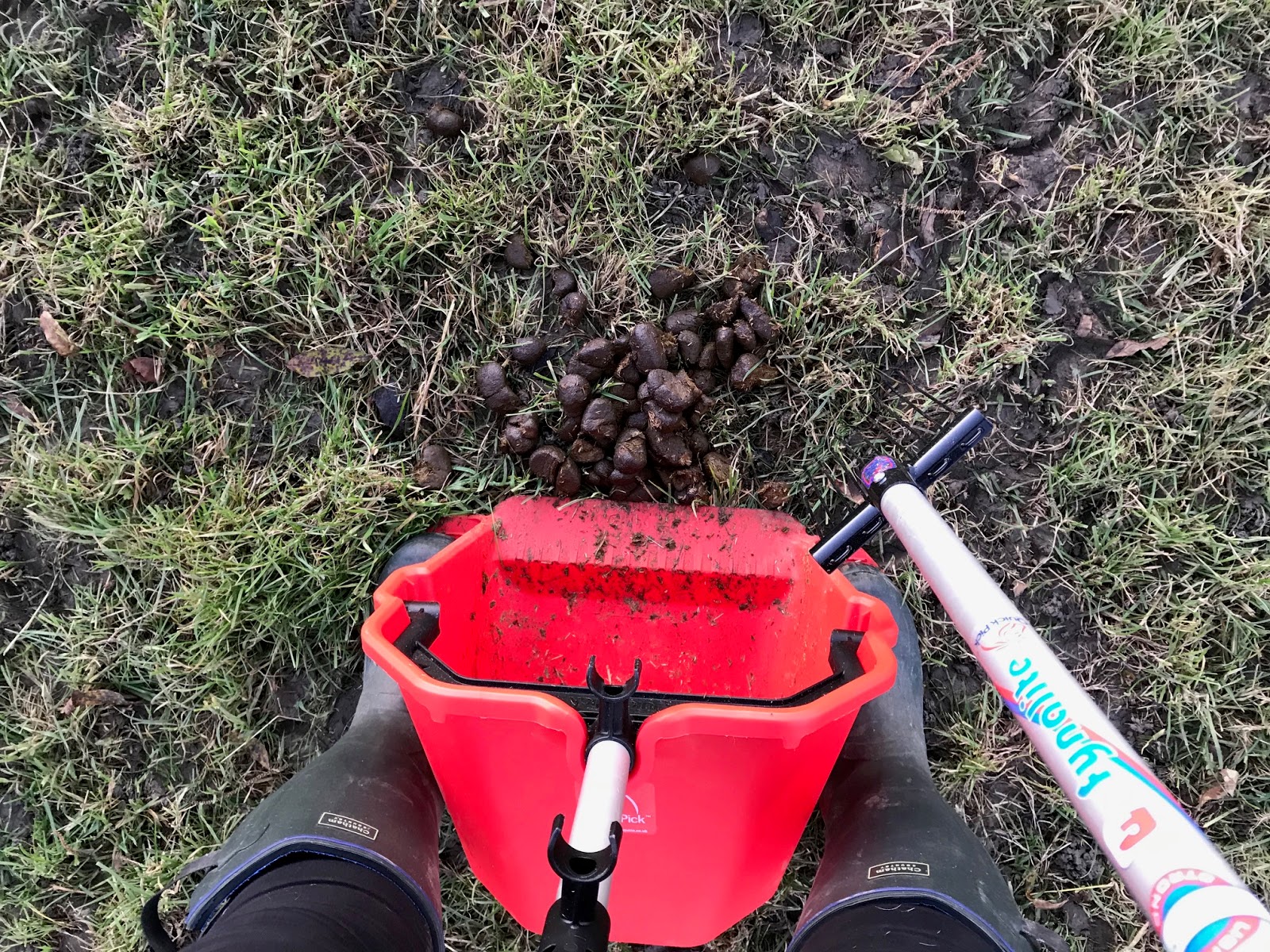 The Adventures of an Amateur Equestrian Quick Pick Equine Poo Picking
